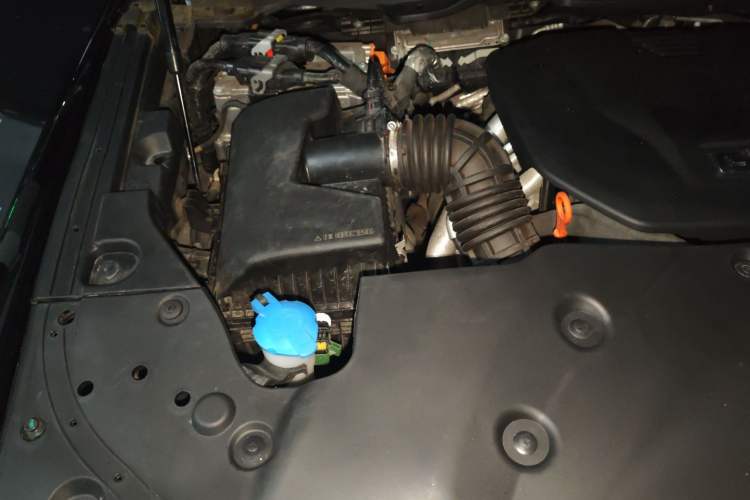 Used Tank 500 New Energy 2024 Hi4-T Black Warrior Edition Engine Bay Right