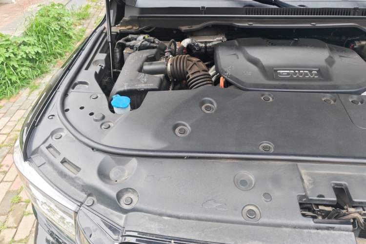 Used Tank 500 New Energy 2024 Hi4-T Engine Bay Right