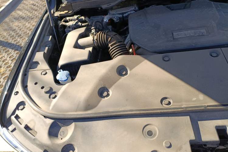 Used Tank 500 New Energy 2024 Hi4-T Engine Bay Right