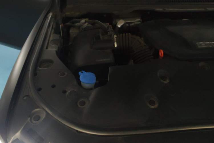 Used Tank 500 New Energy 2024 Hi4-T Engine Bay Right