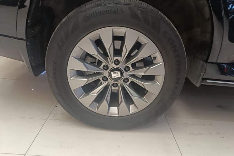 Used Tank 500 New Energy 2024 Hi4-T Exterior 5
