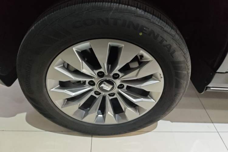 Used Tank 500 New Energy 2024 Hi4-T Exterior 5