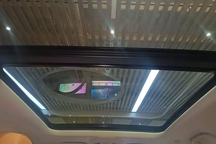 Used Tank 500 New Energy 2024 Hi4-T Headliner