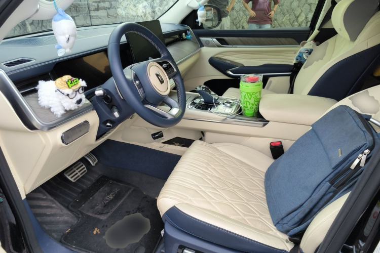 Used Tank 500 New Energy 2024 Hi4-T Left Front Seat