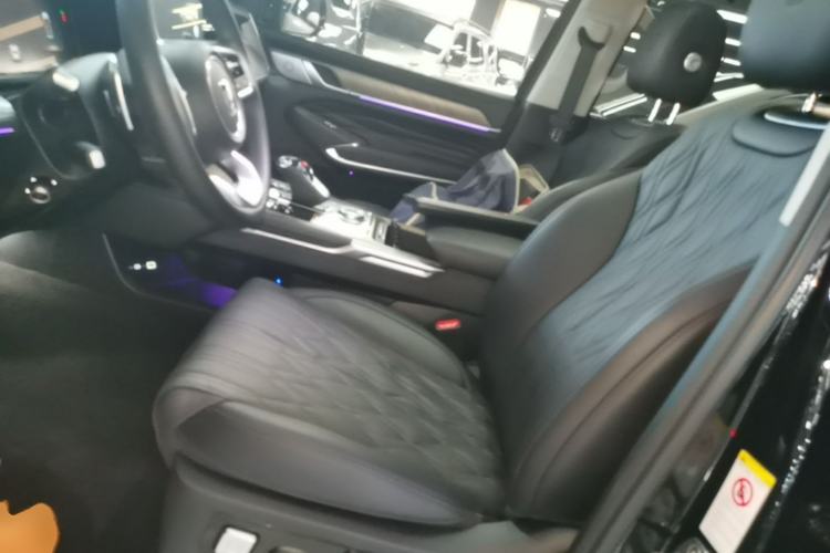 Used Tank 500 New Energy 2024 Hi4-T Left Front Seat