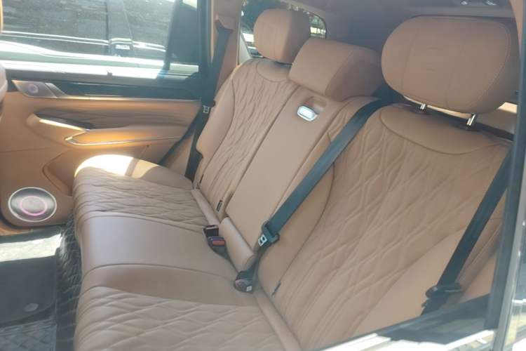 Used Tank 500 New Energy 2024 Hi4-T Left Rear Seat