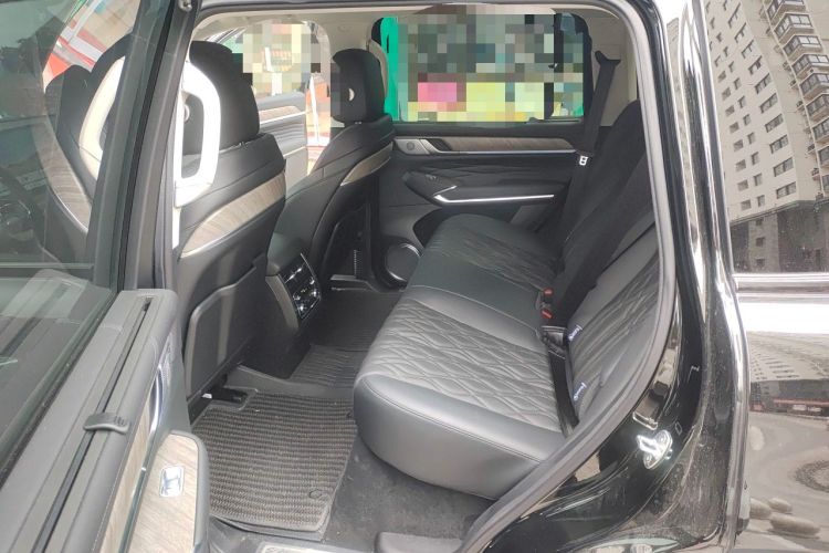 Used Tank 500 New Energy 2024 Hi4-T Black Warrior Edition Left Rear Seat