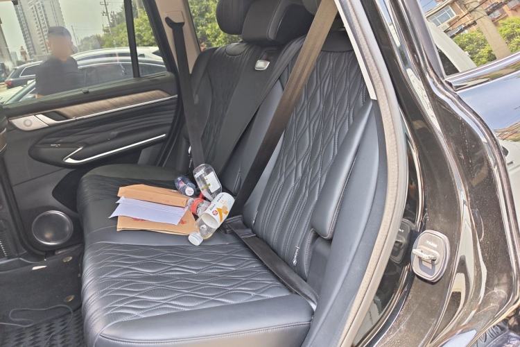 Used Tank 500 New Energy 2024 Hi4-T Black Warrior Edition Left Rear Seat