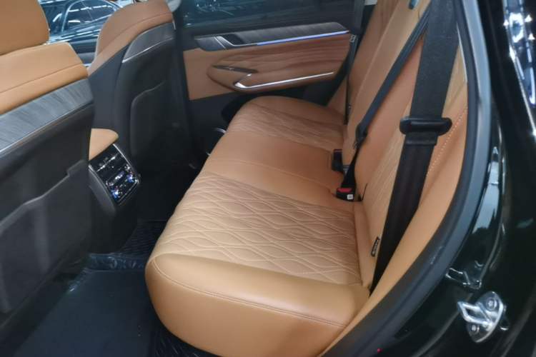 Used Tank 500 New Energy 2024 Hi4-T Left Rear Seat