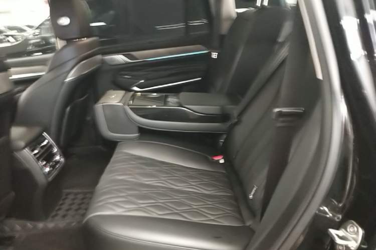 Used Tank 500 New Energy 2024 Hi4-T Black Warrior Edition Left Rear Seat