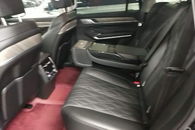 Used Tank 500 New Energy 2024 Hi4-T Black Warrior Edition Left Rear Seat