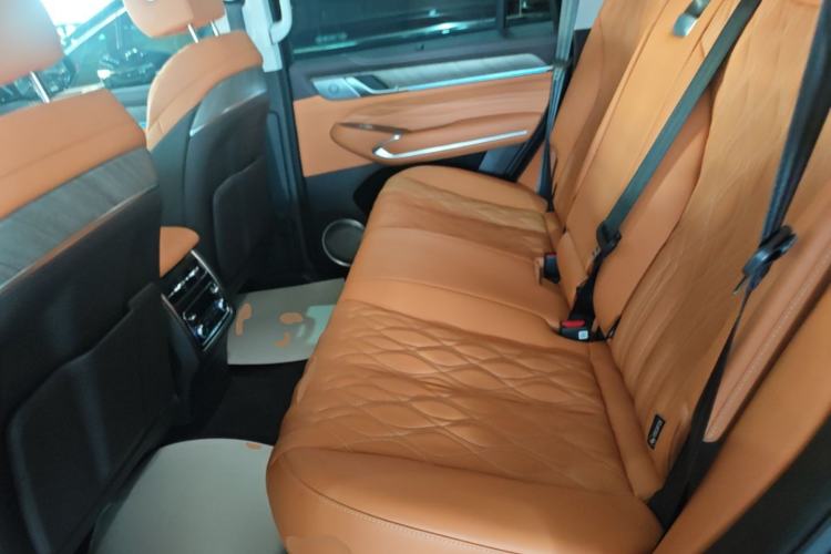 Used Tank 500 New Energy 2024 Hi4-T Left Rear Seat
