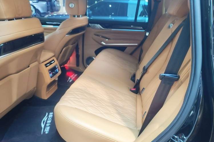 Used Tank 500 New Energy 2024 Hi4-T Left Rear Seat