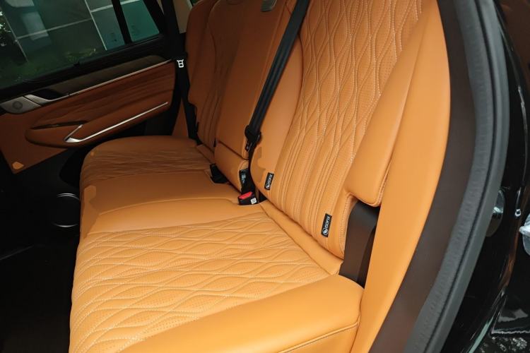 Used Tank 500 New Energy 2024 Hi4-T Left Rear Seat