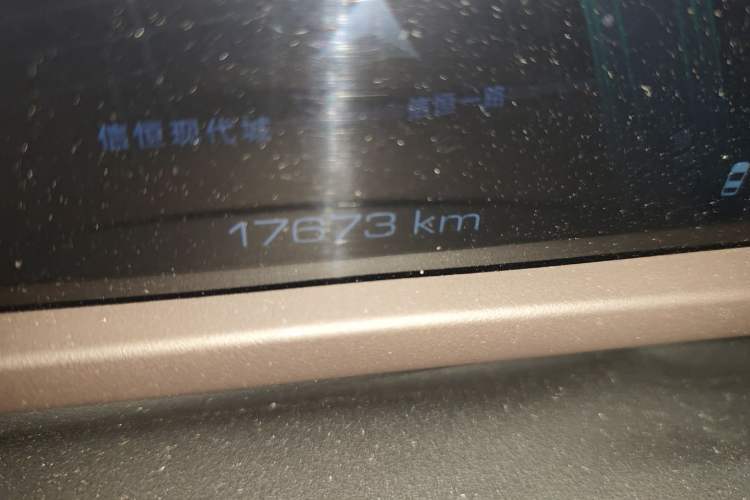 Used Tank 500 New Energy 2024 Hi4-T Odometer Close Up