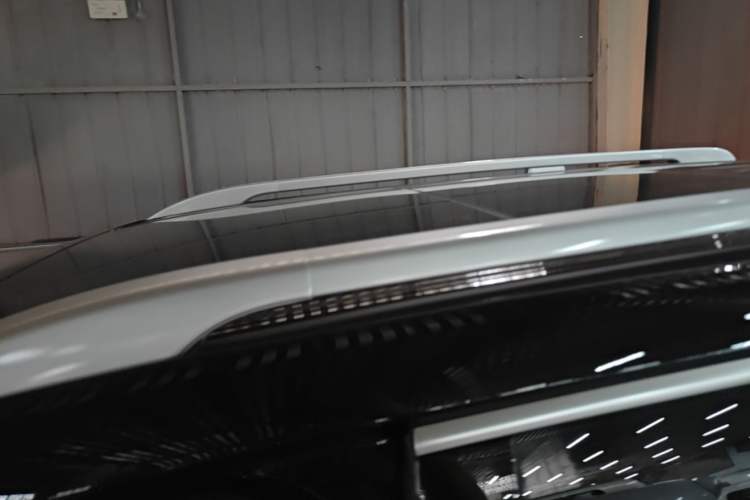 Used Tank 500 New Energy 2024 Hi4-T Roof