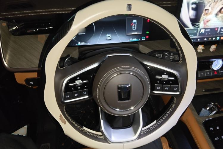 Used Tank 500 New Energy 2024 Hi4-T Steering Wheel