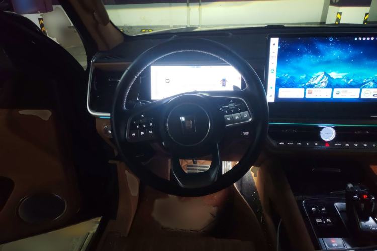 Used Tank 500 New Energy 2024 Hi4-T Steering Wheel