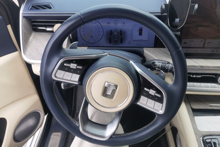 Used Tank 500 New Energy 2024 Hi4-T Steering Wheel
