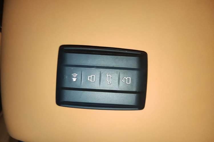 Used Tank 500 New Energy 2024 Hi4-T Vehicle Key