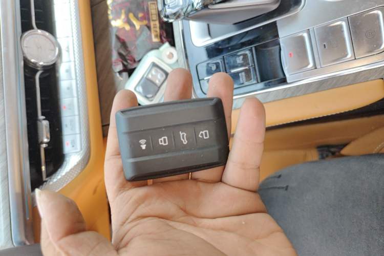 Used Tank 500 New Energy 2024 Hi4-T Vehicle Key