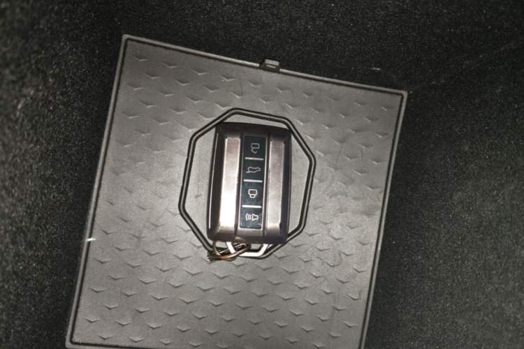 Used Tank 500 New Energy 2024 Hi4-T Vehicle Key