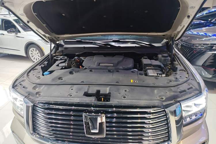 Used Tank 500 New Energy 2024 Hi4-T Engine Bay