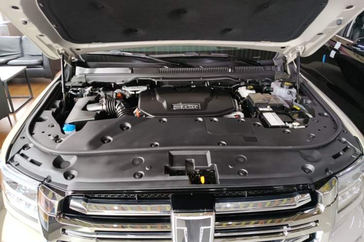 Used Tank 500 New Energy 2024 Hi4-T Engine Bay