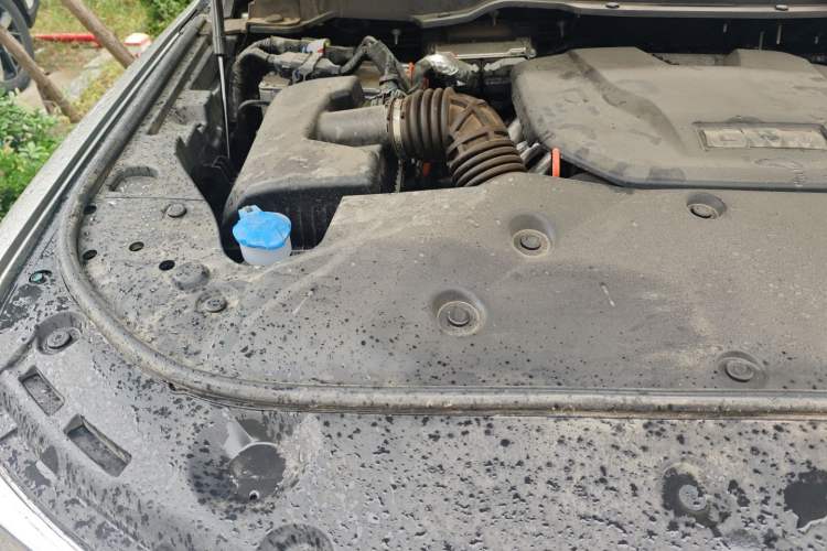 Used Tank 500 New Energy 2024 Hi4-T Engine Bay Right