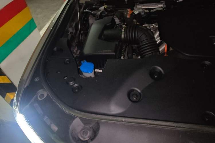 Used Tank 500 New Energy 2024 Hi4-T Engine Bay Right