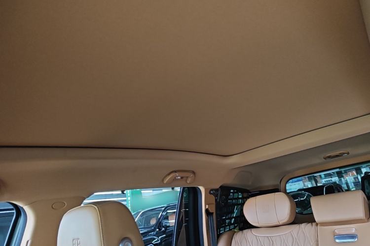 Used Tank 500 New Energy 2024 Hi4-T Headliner
