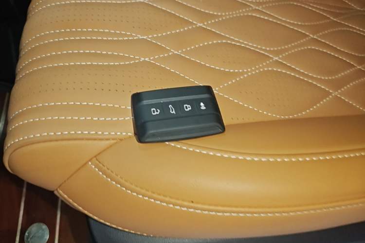 Used Tank 500 New Energy 2024 Hi4-T Interior 1