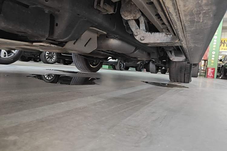 Used Tank 500 New Energy 2024 Hi4-T Left Side Sill