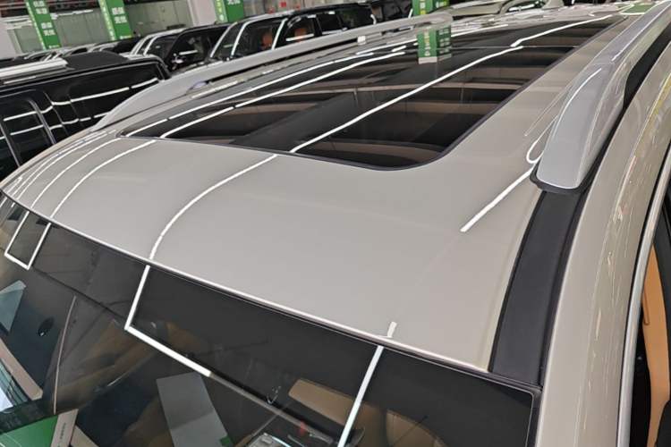 Used Tank 500 New Energy 2024 Hi4-T Roof