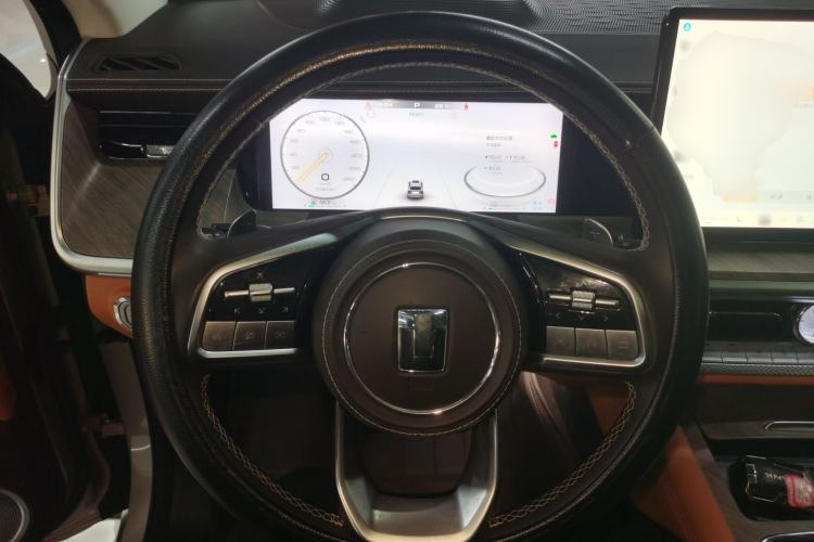 Used Tank 500 New Energy 2024 Hi4-T Steering Wheel