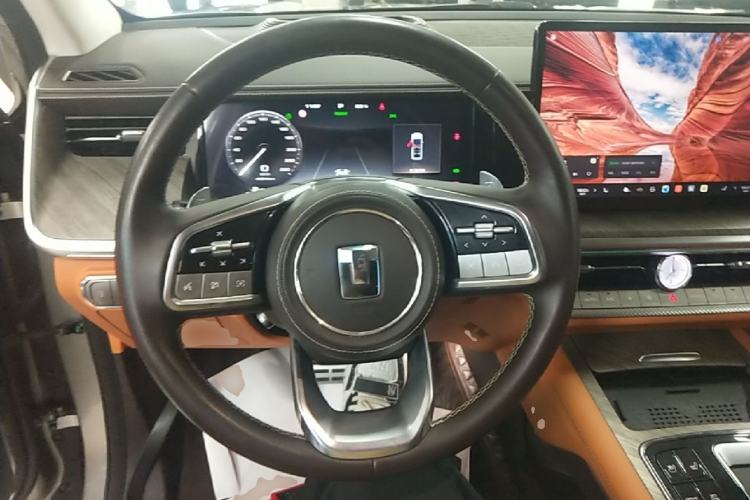 Used Tank 500 New Energy 2024 Hi4-T Steering Wheel