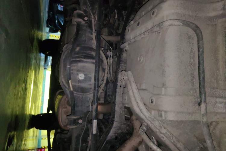 Used Tank 500 New Energy 2024 Hi4-T Chassis Rear