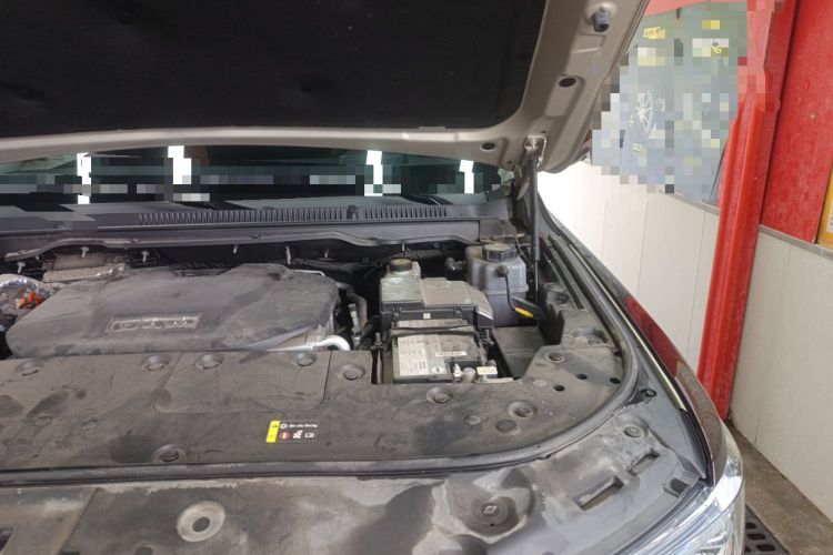 Used Tank 500 New Energy 2024 Hi4-T Engine Bay Left
