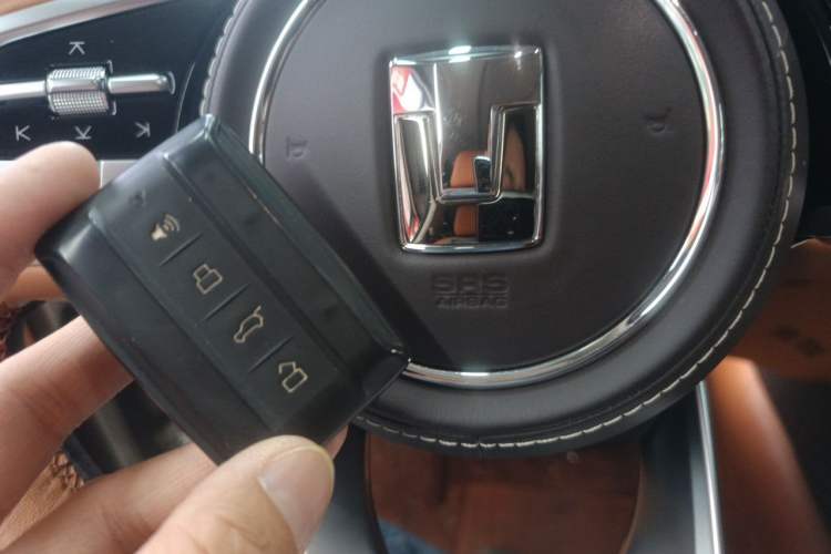 Used Tank 500 New Energy 2024 Hi4-T Vehicle Key