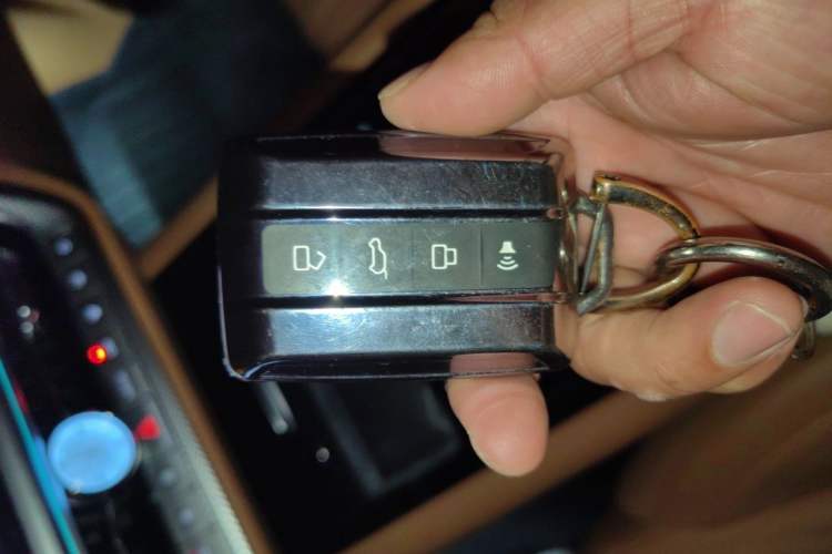 Used Tank 500 New Energy 2024 Hi4-T Vehicle Key