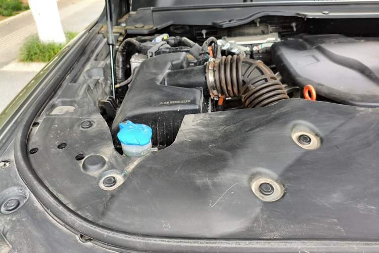 Used Tank 500 New Energy 2024 Hi4-T Engine Bay Right