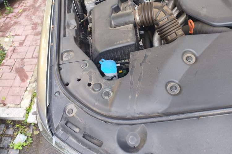 Used Tank 500 New Energy 2024 Hi4-T Engine Bay Right