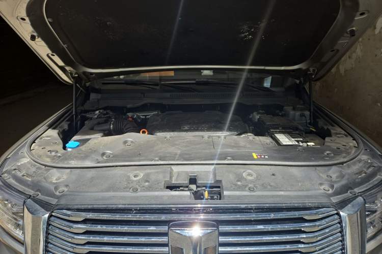 Used Tank 500 New Energy 2024 Hi4-T Engine Bay