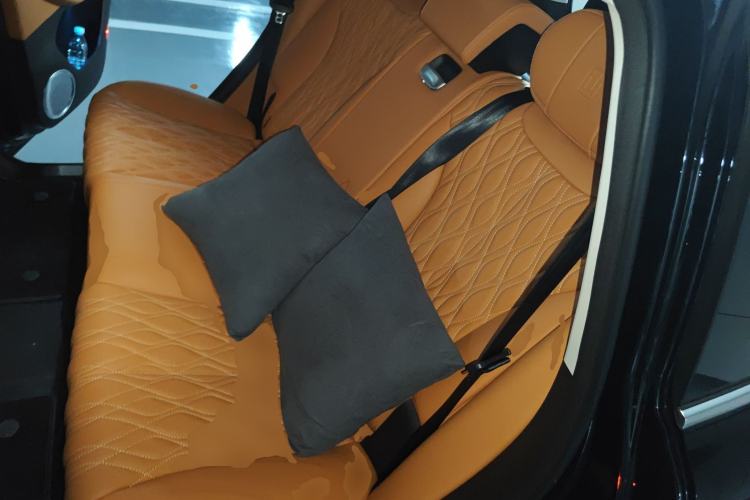 Used Tank 500 New Energy 2024 Hi4-T Left Rear Seat