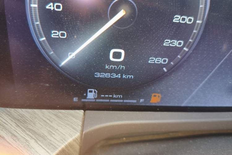Used Tank 500 New Energy 2024 Hi4-T Odometer Close Up