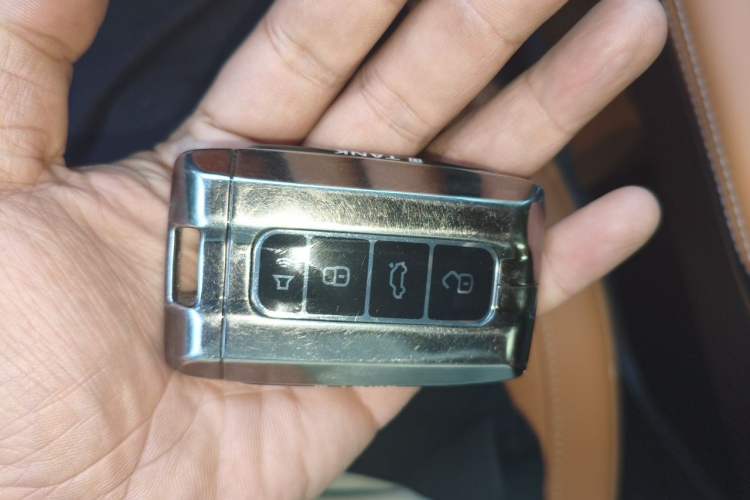 Used Tank 500 New Energy 2024 Hi4-T Vehicle Key