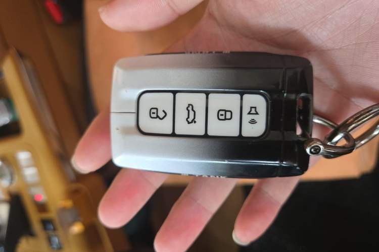 Used Tank 500 New Energy 2024 Hi4-T Vehicle Key
