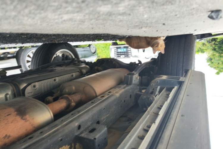 Used Tank 500 New Energy 2024 Hi4-T Chassis Rear Right