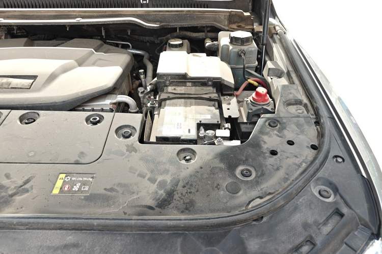 Used Tank 500 New Energy 2024 Hi4-T Engine Bay Left