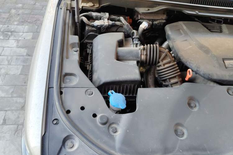 Used Tank 500 New Energy 2024 Hi4-T Engine Bay Right